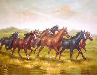 Horses 017